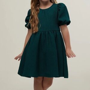 Little Girls Holiday Dress Rachel Parcel Girl's Puff Sleeve Size 4